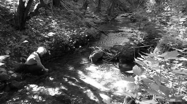 Pergine Valsugana, Lago di Levico Headwaters, May 16, 2026