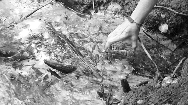 Fontanasso dea Coa Longo, Sile River, May 19, 2026