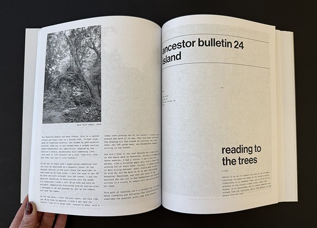 Ancestor Bulletin 24: Reading to the Trees