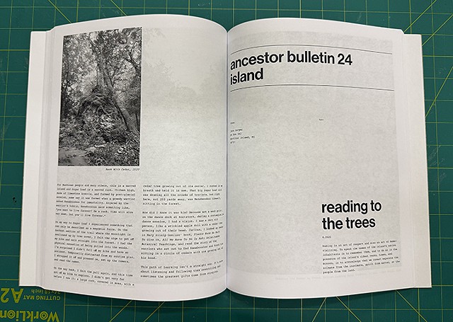 Ancestor Bulletin 24: Reading to the Trees