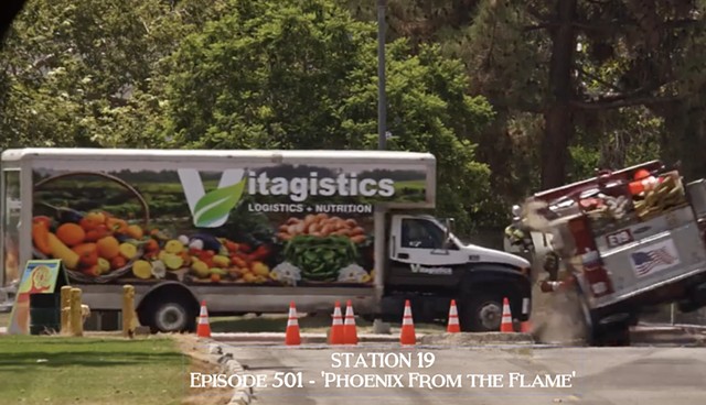 STATION 19 - 501 - Phoenix From the Flame