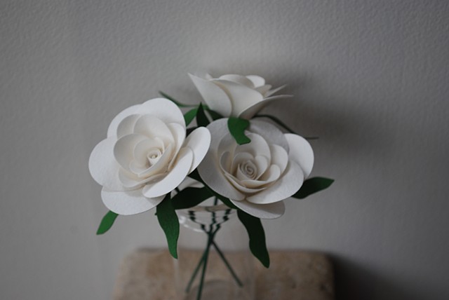 white roses 