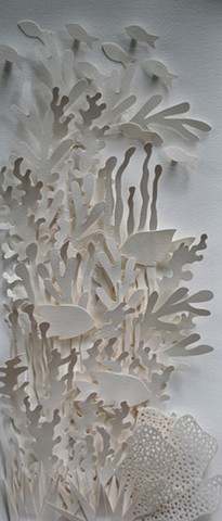 coral white