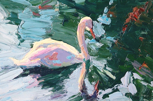 Sunkissed Swan