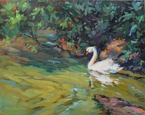 Swan Series