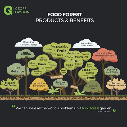 Food Forests