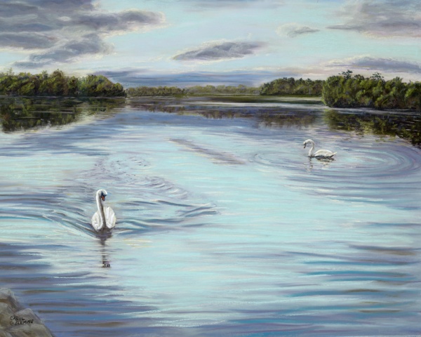 Jacobs Swans II