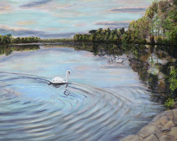 Jacobs Swans IV
