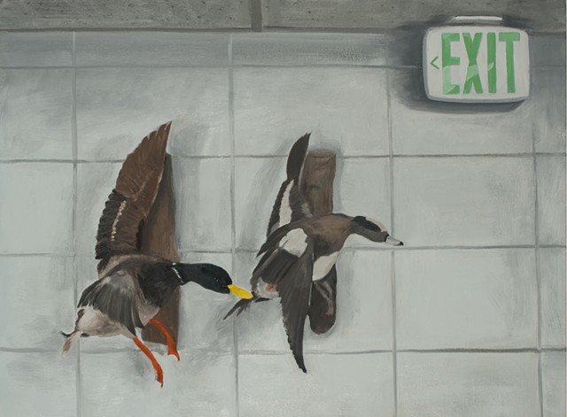 Exiting Ducks