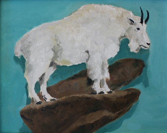 Mountain Goat