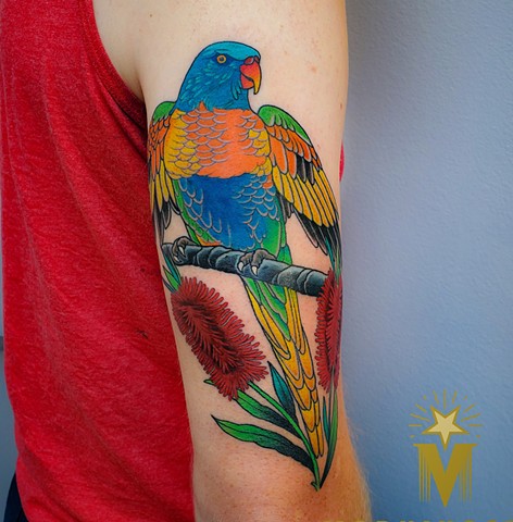 Parrot and Bottlebrush Flower Tattoo by Adam Sky, Morningstar Tattoo, Belmont, Bay Area, California
