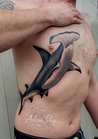 Hammerhead Shark Tattoo by Adam Sky, Hold Fast Studio, Redwood City, Bay Area, California