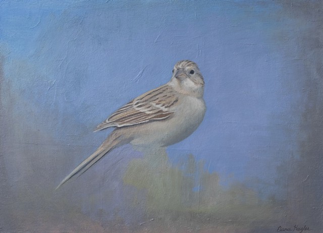 Sparrow