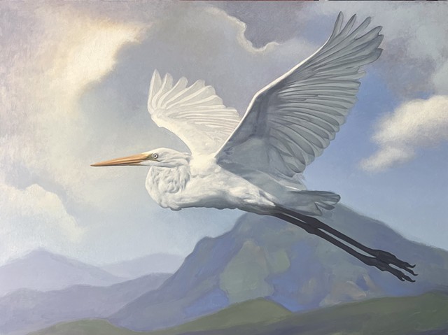 Great Egret