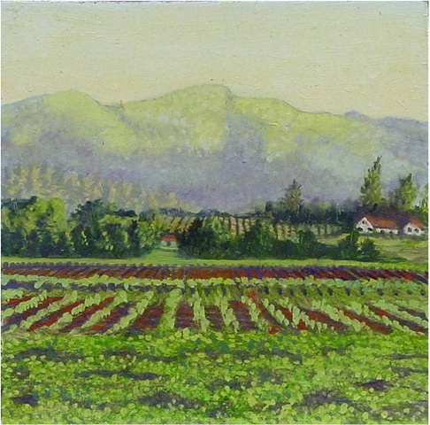 Chilean Vineyard
