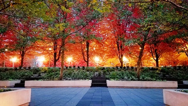 Millennium Park in Autumn