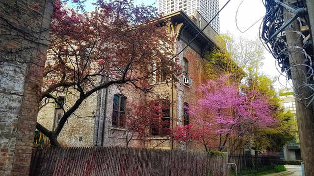 Spring at the Palette and Chisel, alley view