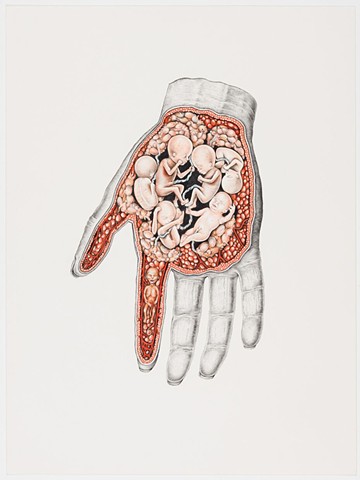 Drawing of embryos by artist Michael Tarbi, contemporary art surrealism.