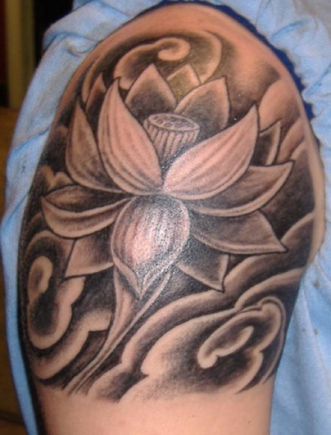 grey lotus