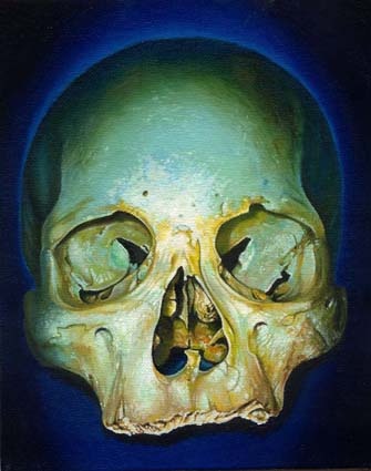 yellow blue skull