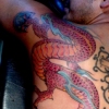 red dragon back