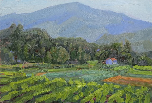 Provence, Morning Landscape
