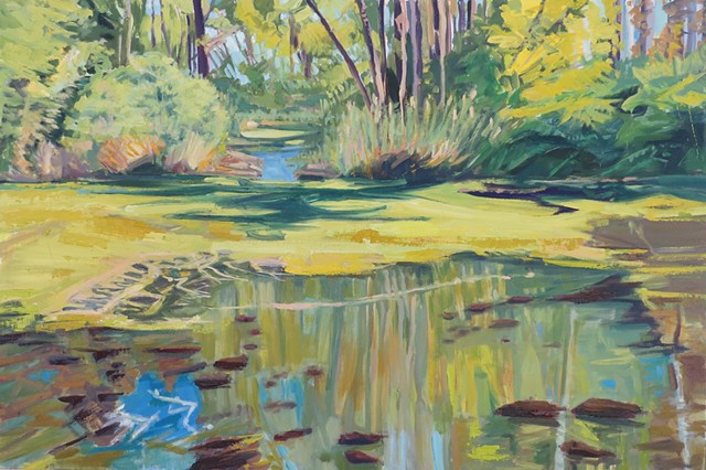 November's Backwater Brilliance