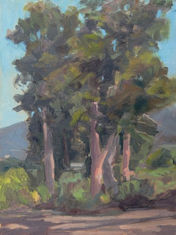 Ojai Meadow Preserve