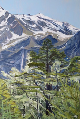 Spring's Glory; Routeburn Track View, South Island, NZ