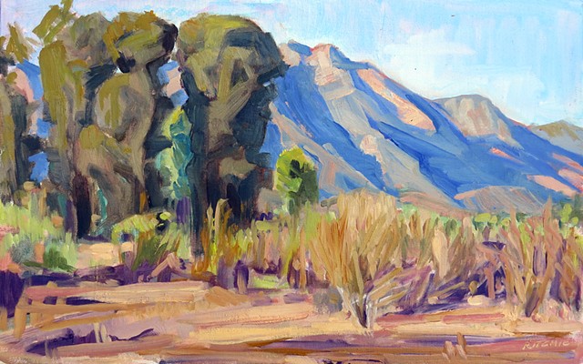 Golden Light in the Meadow; Ojai