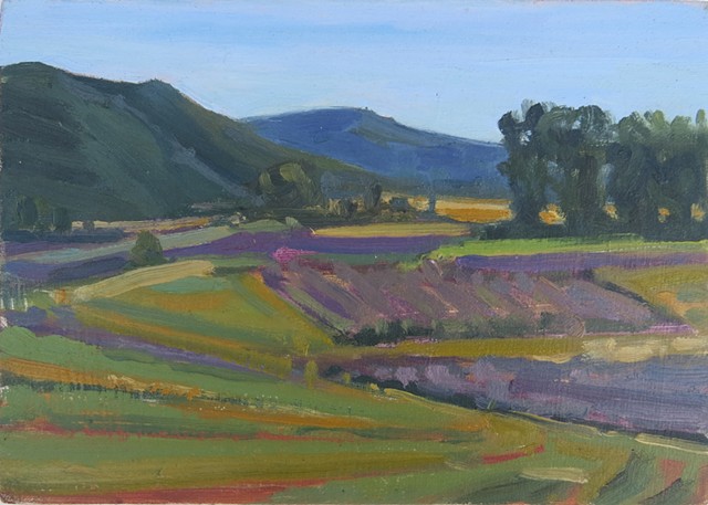 Lavender Fields,Provence ,6pm