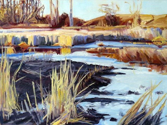Warm November; Afternoon Light in the Marsh