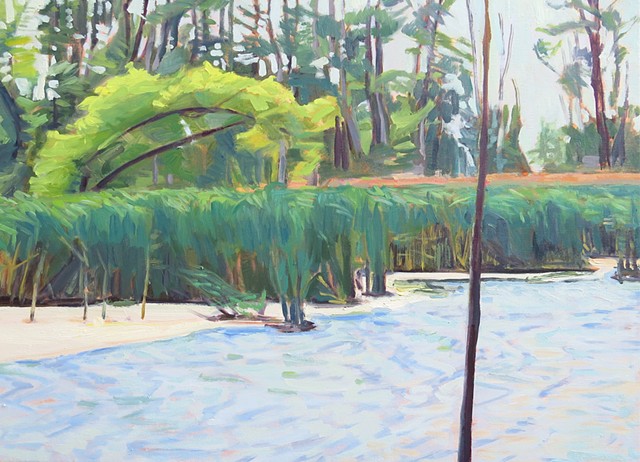 September Day in the Marsh