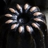 Canele Molds