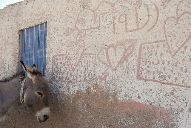Donkey and Hearts, Gurna