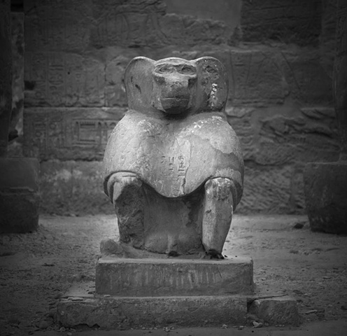 Baboon
Khonsu Temple
Luxor, Egypt