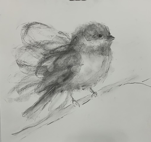 Sold  22x23 charcoal on paper unframed 