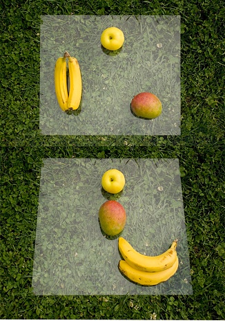 Arrangement of Fruit 1, 2011