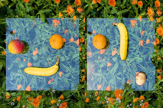 Arrangement of Fruit No. 4, (Remix), 2014