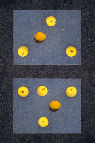 Arrangement of Fruit No. 5, 2011