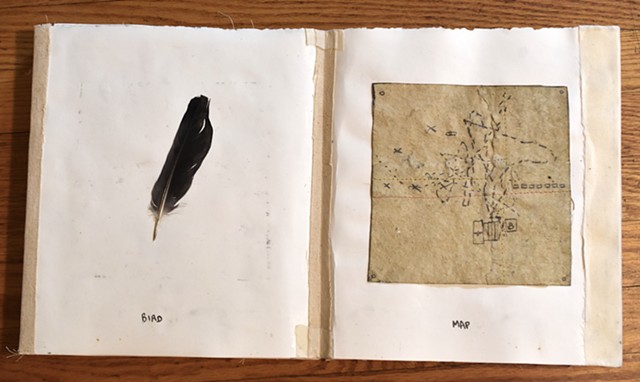 The Map and the Feather