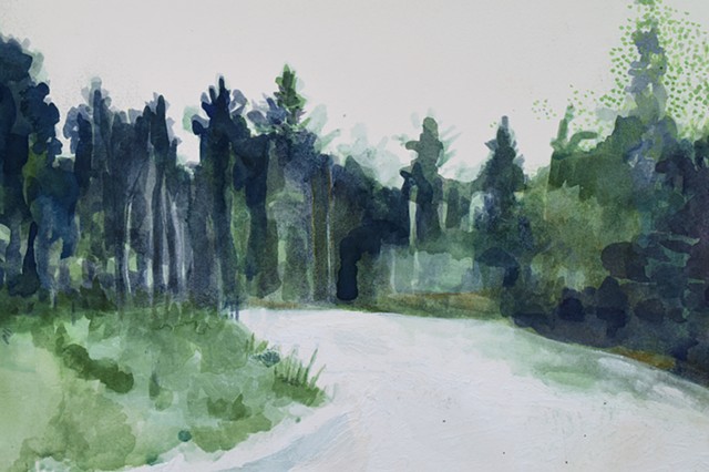 Sun Going down in the Forest in January