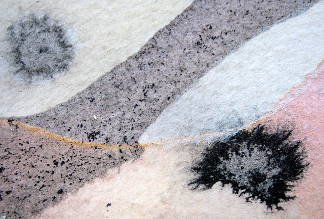 Connective Tissue (Detail 7)