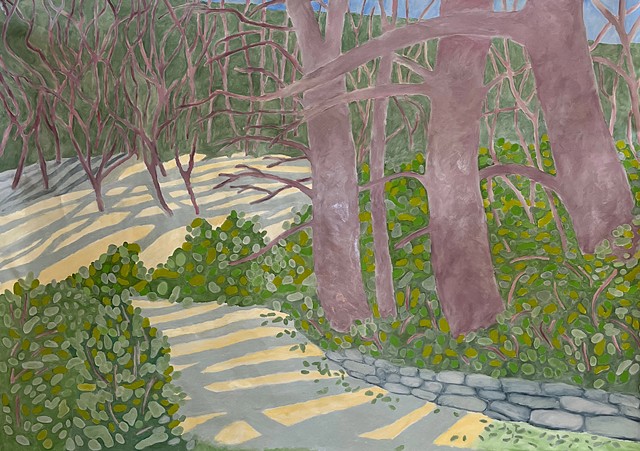 Road up to Pew Property 1