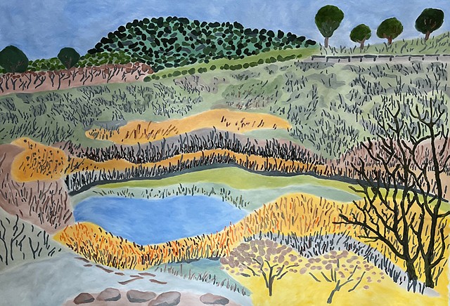 Upper Canyon Road Wetlands