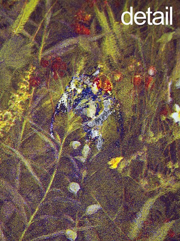 The Hummingbird - DETAIL