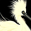 Snowey Egret oval