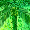 Key Lime Palm 