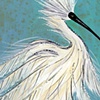 Feathery Egret