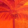 Red Orange Palm Tree